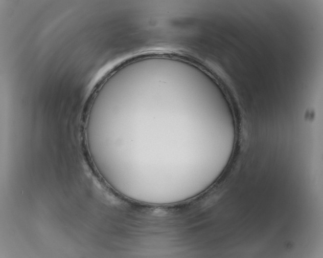 X0000111631412200907171118