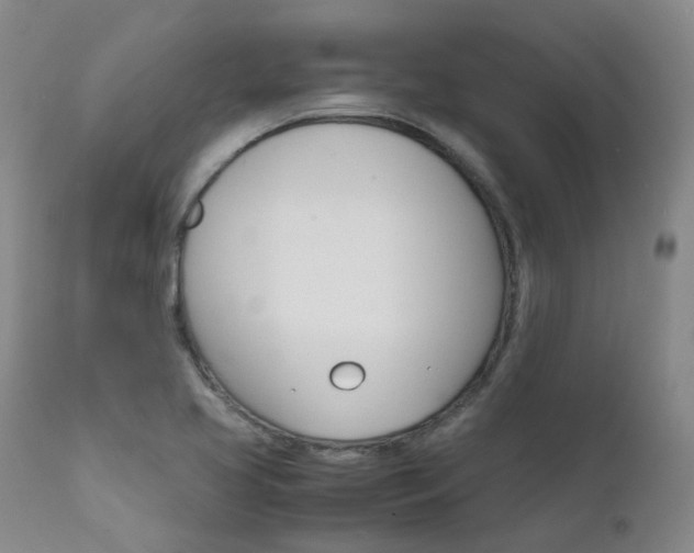 X0000111631413200907171118