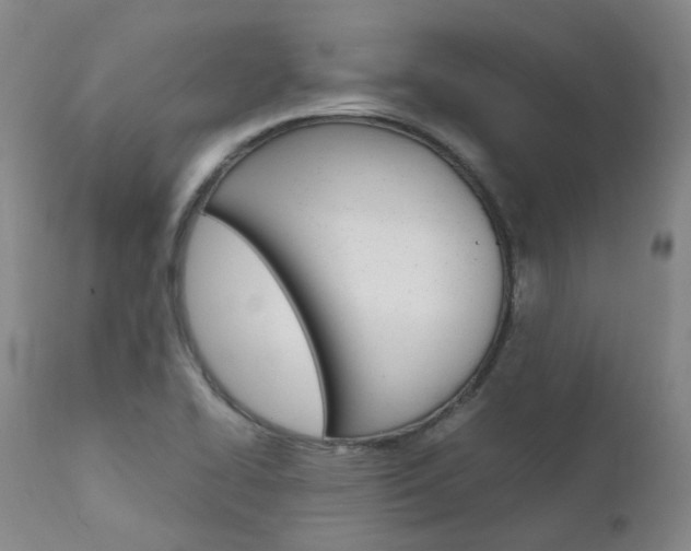 X0000111631414200907171118