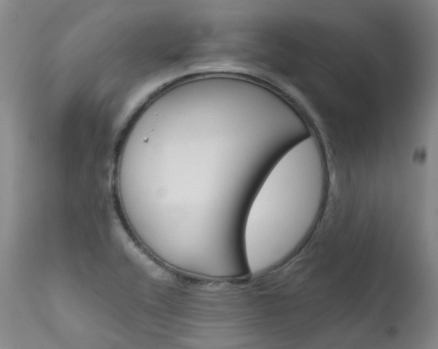 X0000111631416200907171118