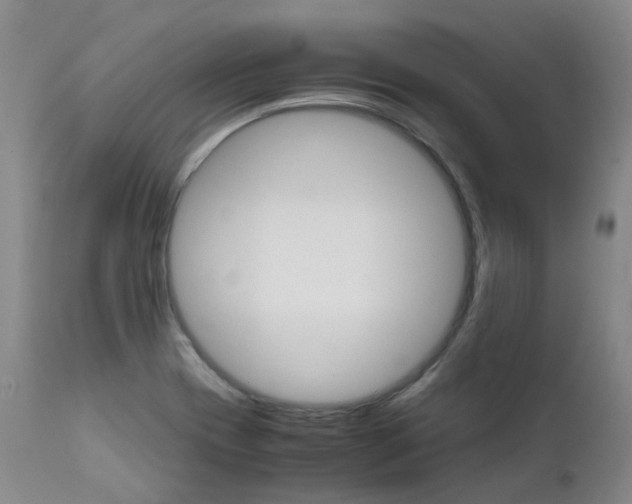 X0000111631417200907171118