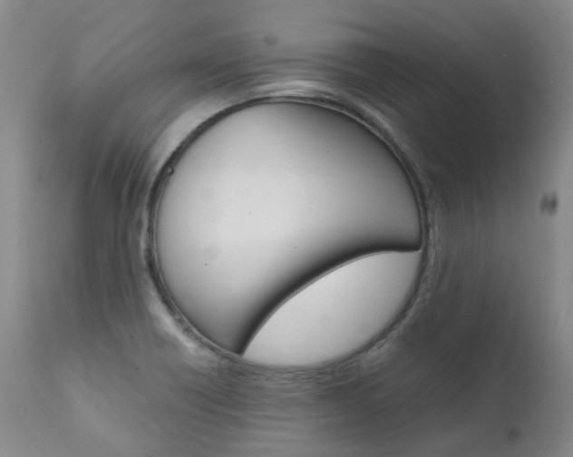 X0000111631418200907171118