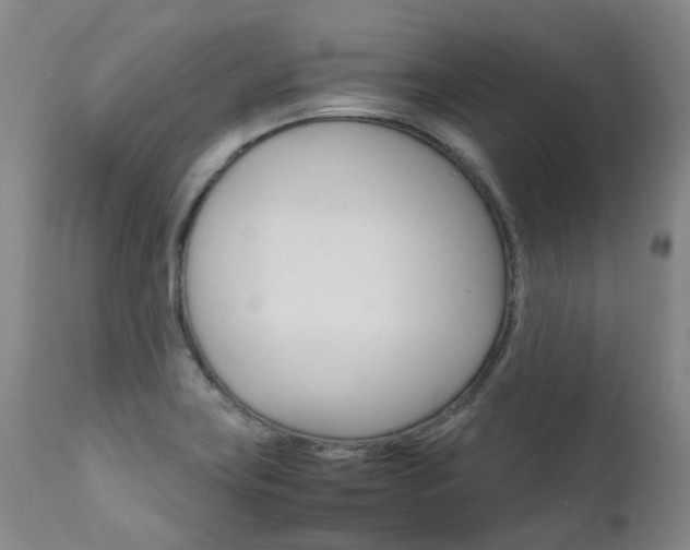 X0000111631419200907171118