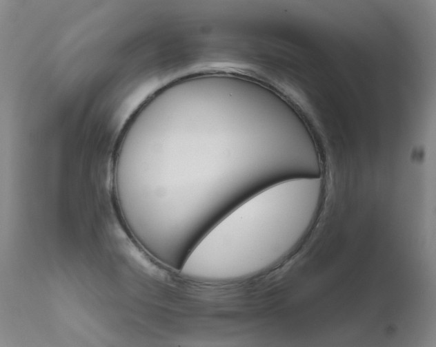 X0000111631420200907171118