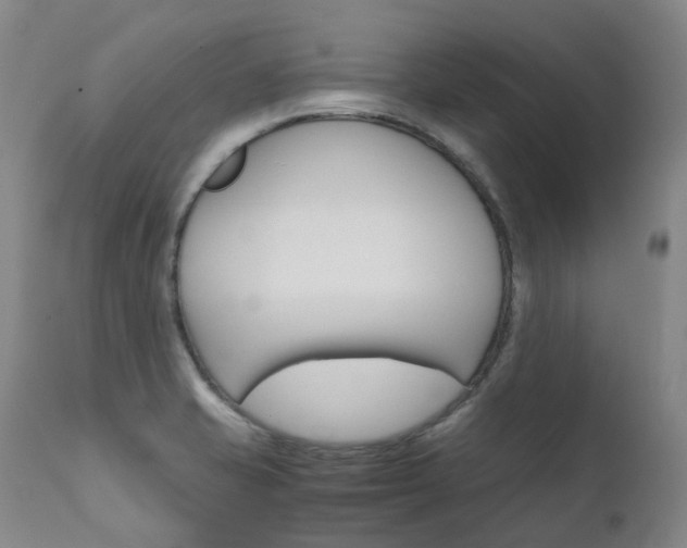 X0000111631421200907171118