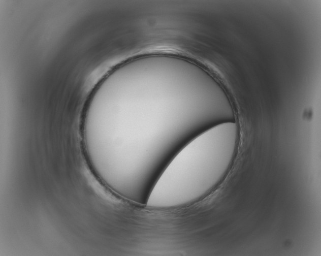 X0000111631422200907171118