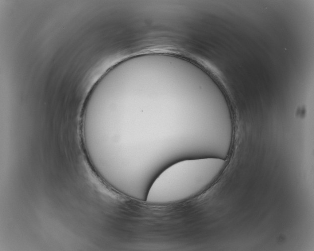 X0000111631423200907171118