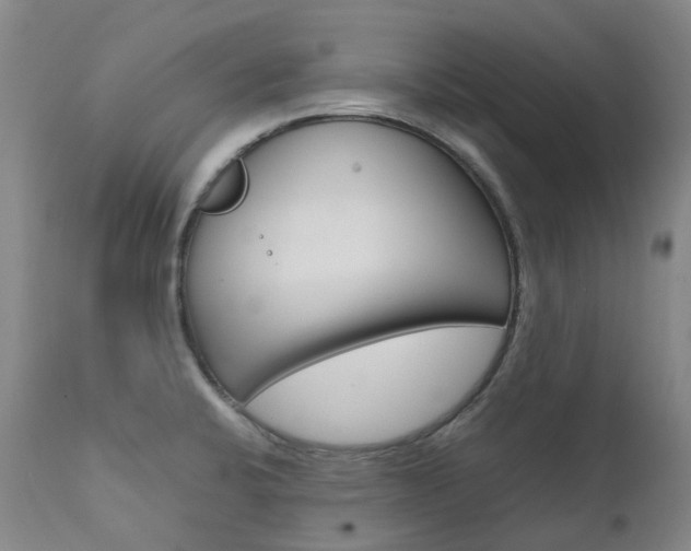 X0000111631424200907171118