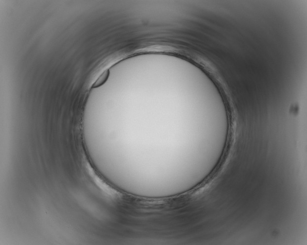 X0000111631425200907171118