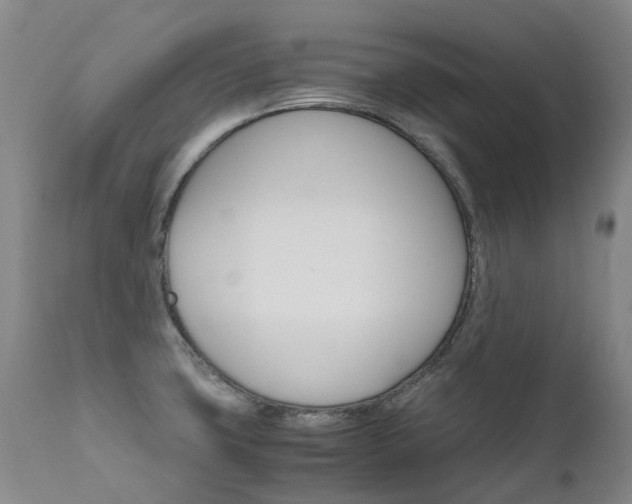 X0000111631427200907171118