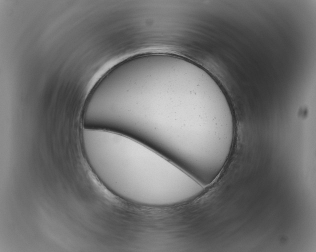 X0000111631428200907171118
