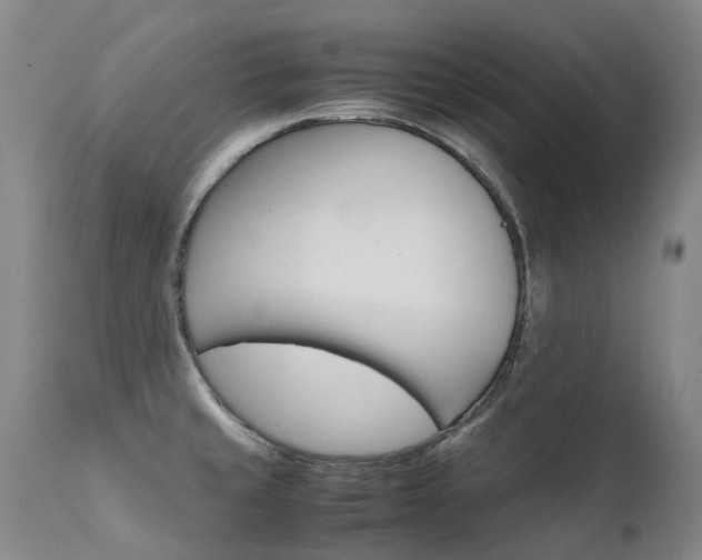 X0000111631429200907171118