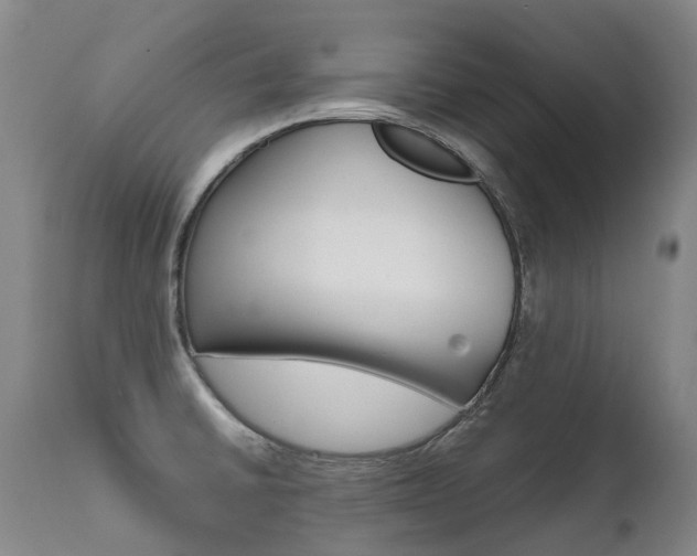 X0000111631430200907171118
