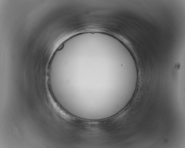 X0000111631431200907171118