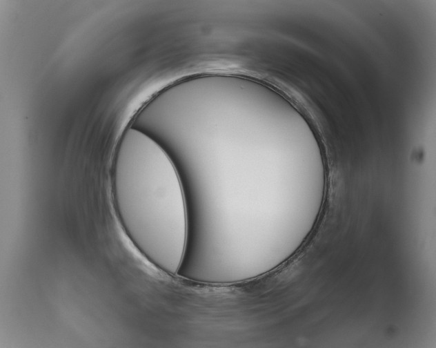 X0000111631432200907171118