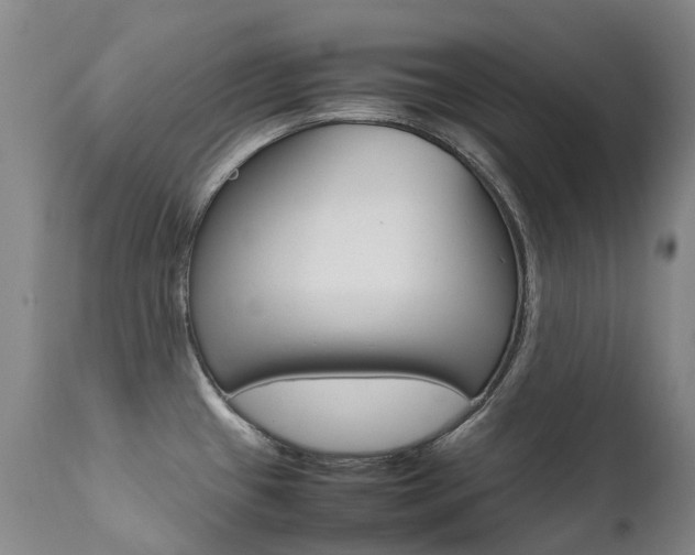 X0000111631433200907171118