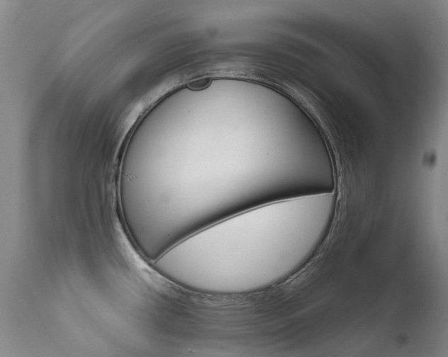 X0000111631434200907171118