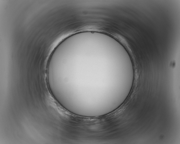 X0000111631435200907171118