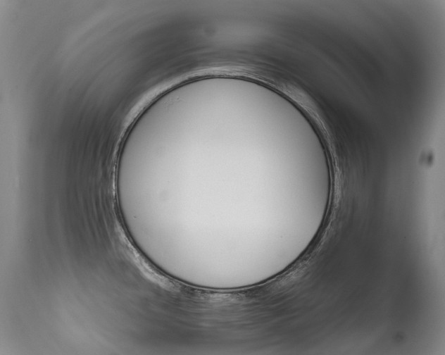X0000111631436200907171118