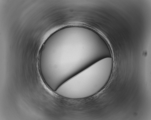 X0000111631437200907171118