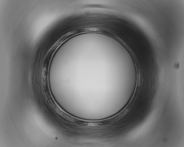 X0000111631438200907171118