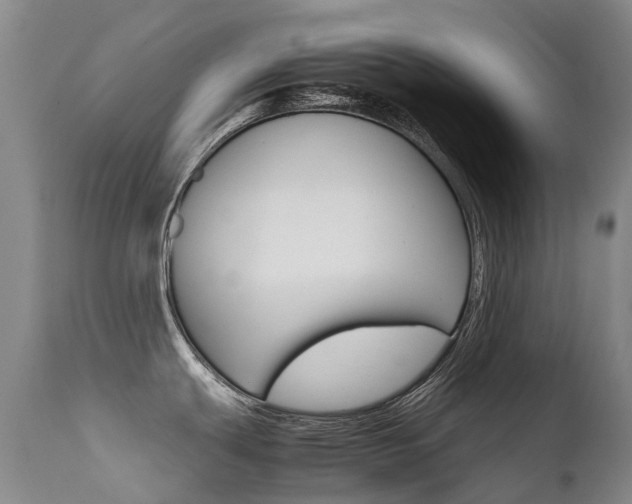 X0000111631439200907171118