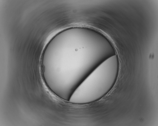 X0000111631440200907171118
