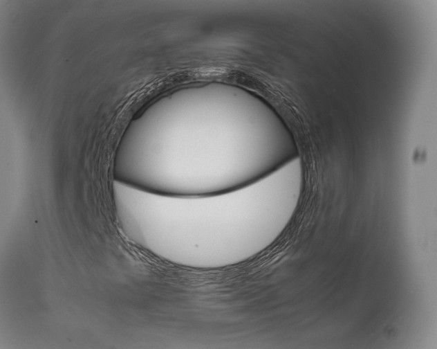 X0000111631441200907171117