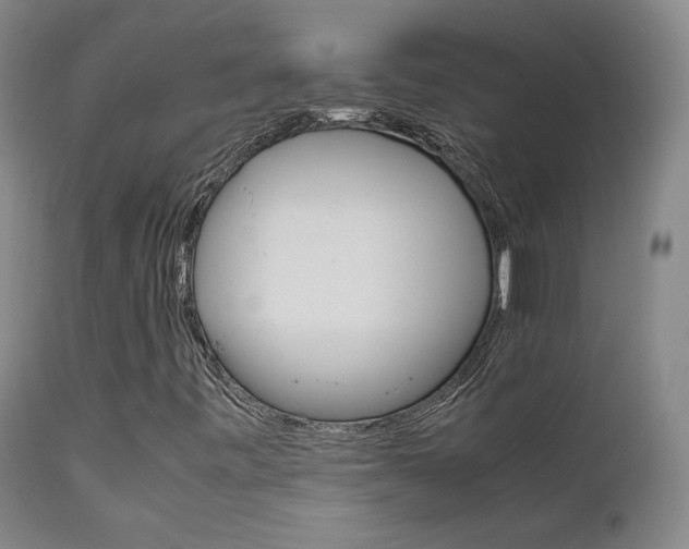 X0000111631443200907171117