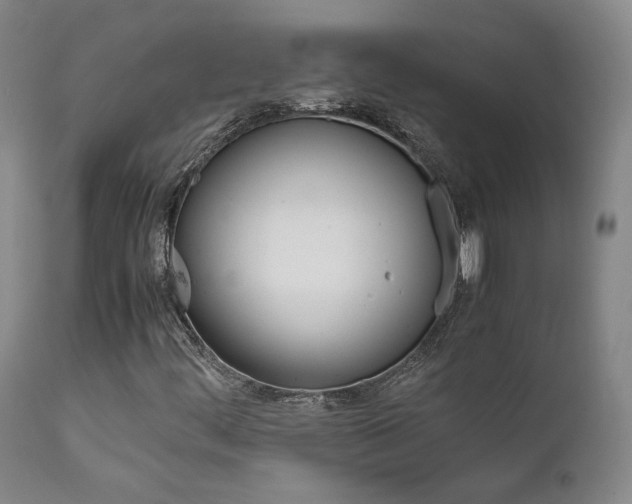 X0000111631444200907171117