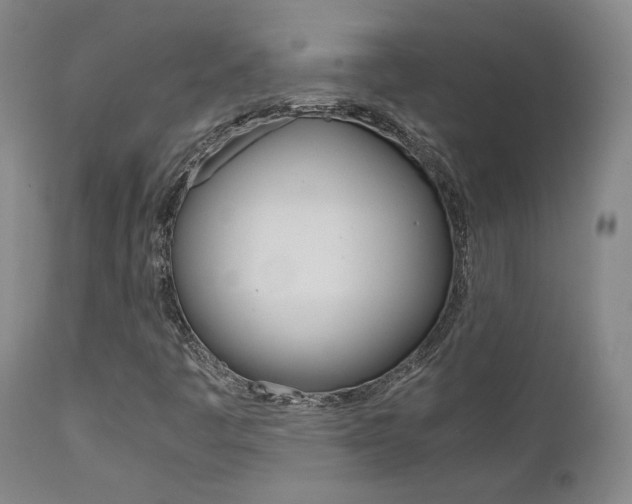X0000111631445200907171117