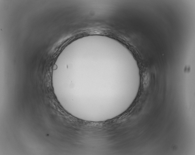 X0000111631446200907171117