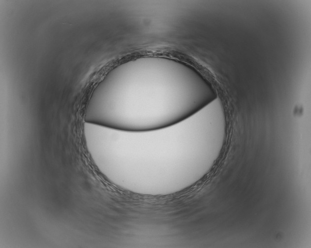X0000111631447200907171117