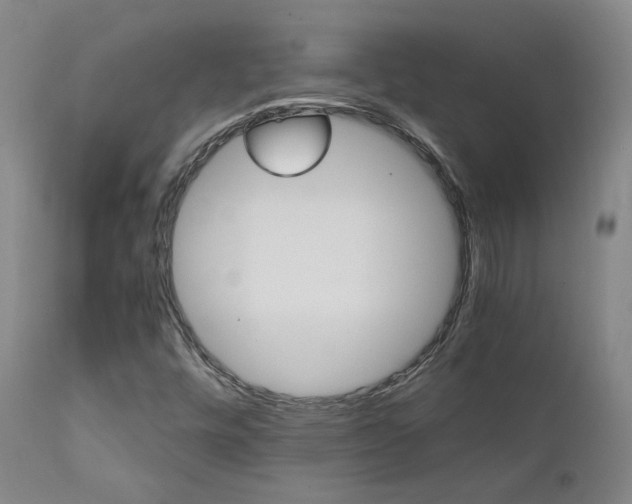 X0000111631448200907171117