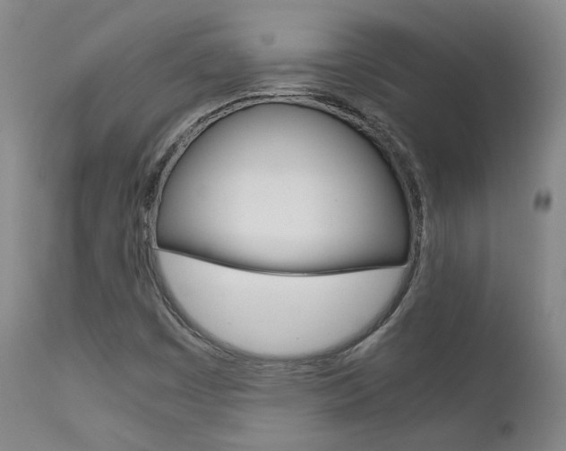 X0000111631449200907171117