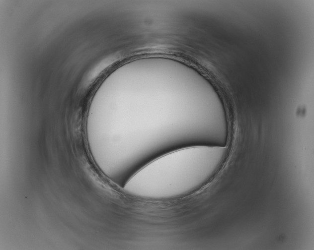 X0000111631450200907171117