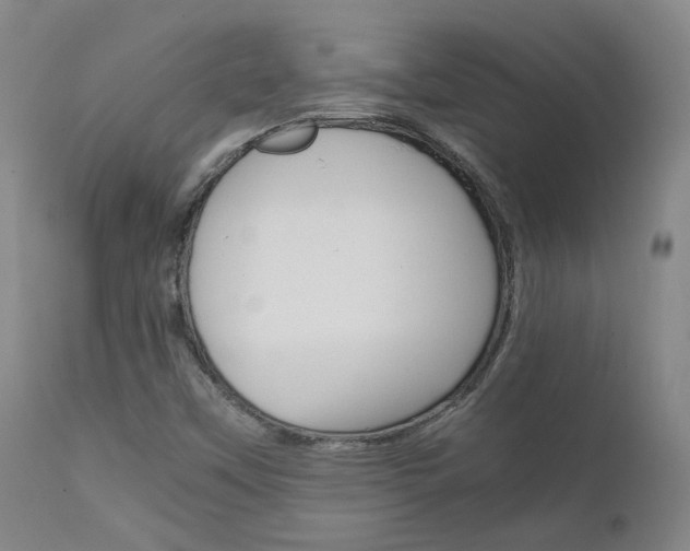 X0000111631451200907171117