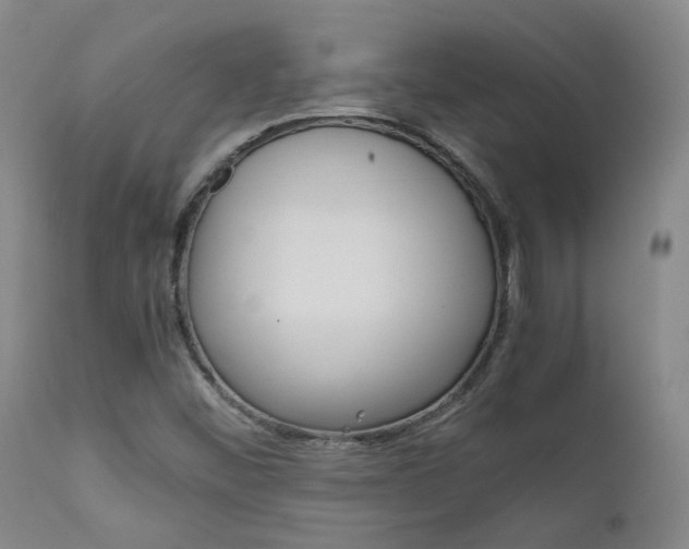 X0000111631452200907171117