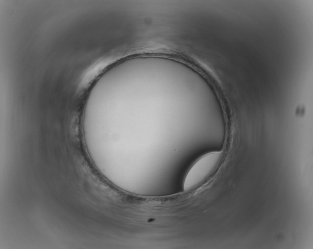 X0000111631455200907171117