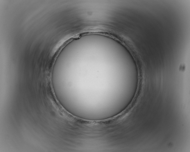 X0000111631457200907171117