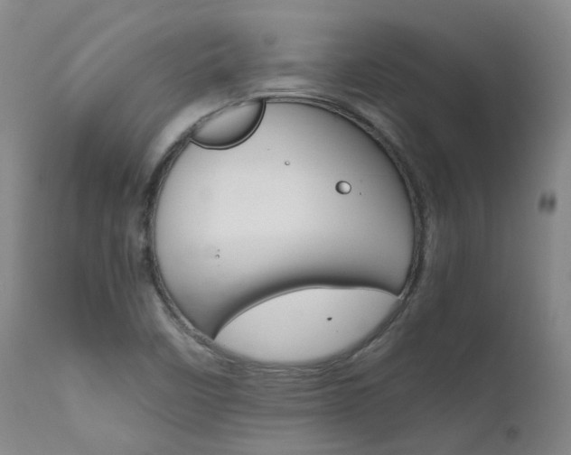 X0000111631458200907171117