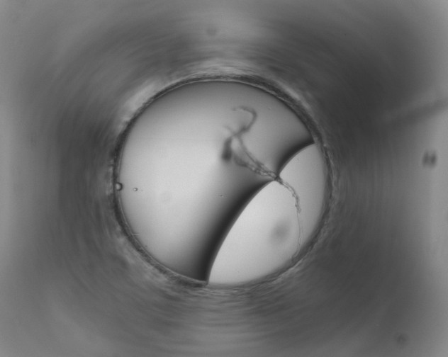X0000111631459200907171117