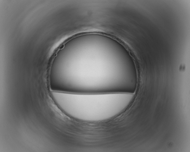 X0000111631460200907171117