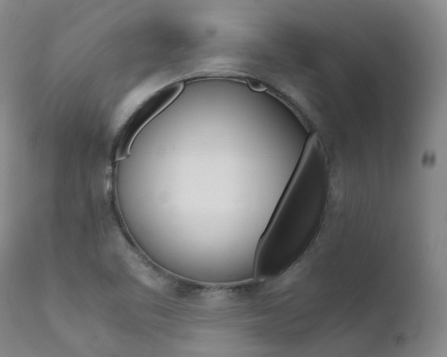 X0000111631461200907171117