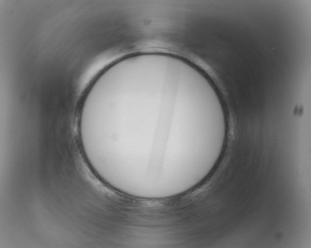 X0000111631462200907171117