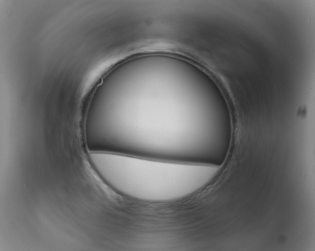 X0000111631464200907171117
