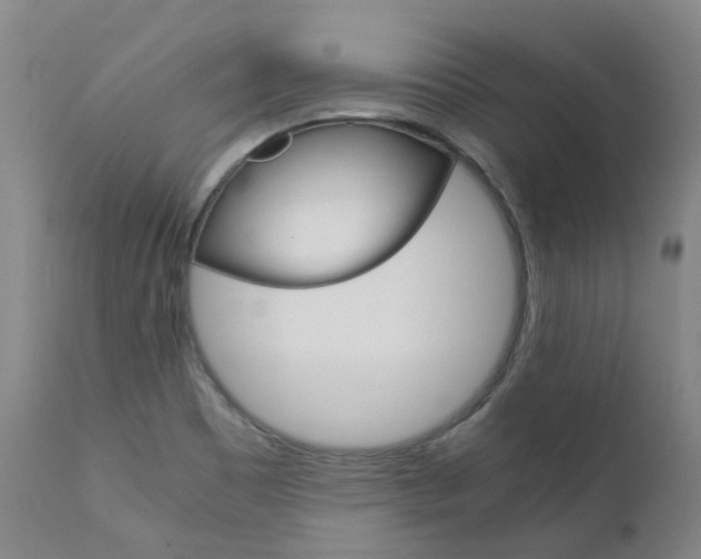 X0000111631465200907171117