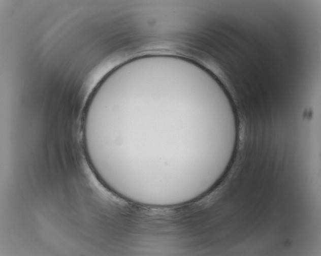 X0000111631466200907171117