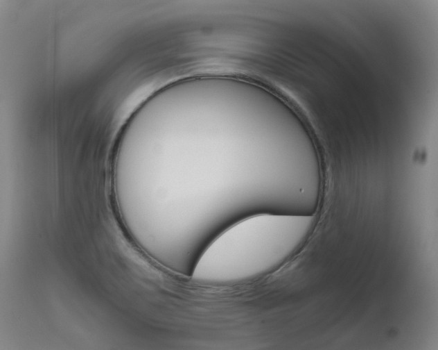 X0000111631467200907171117