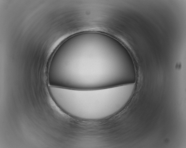 X0000111631468200907171117